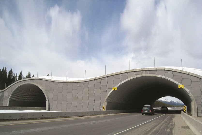 Banff Animal overpass – Aberta – Canada