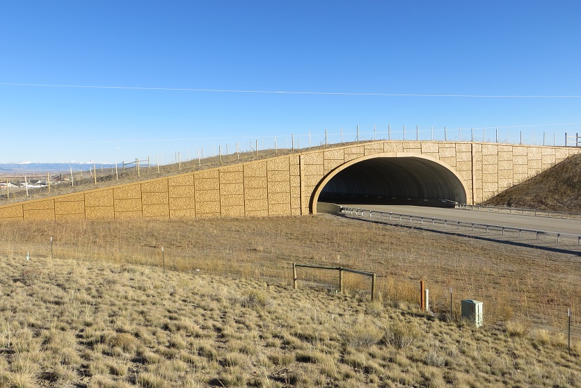 Wyoming animal crossing